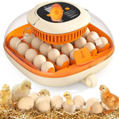 Chickcozy Fully Automatic 25-Egg Incubator for Home Hatchery Use