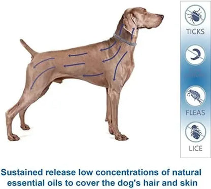 NaturalGuard Flea & Tick Collar for Large Dogs  Hypoallergenic, Plant-Based, 3-Month Protection