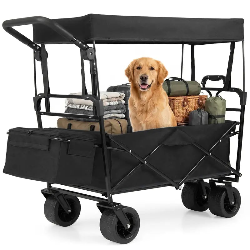 Collapsible All-Terrain Wagon with Detachable Canopy & Carry Bag