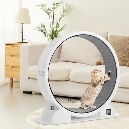 41″ Cat Exercise Wheel with Pedometer  Fast, Easy Installation for Indoor Cat Fitness