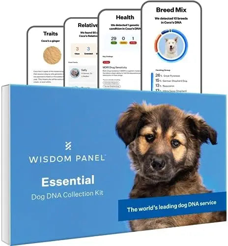 Wisdom Panel Essential Dog DNA Kit: Accurate Test for 365+ Breeds, 30 Health Conditions, 50+ Traits, Ancestry  1 Pack