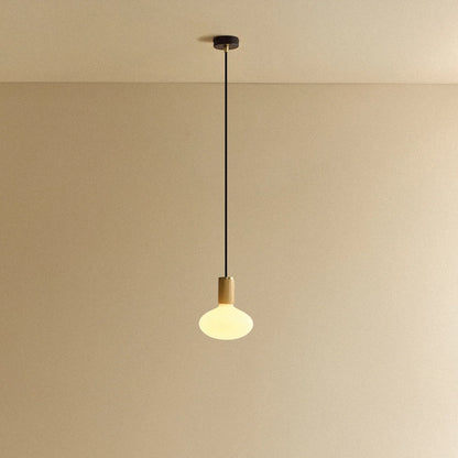 Oval Pendant Light in Oak