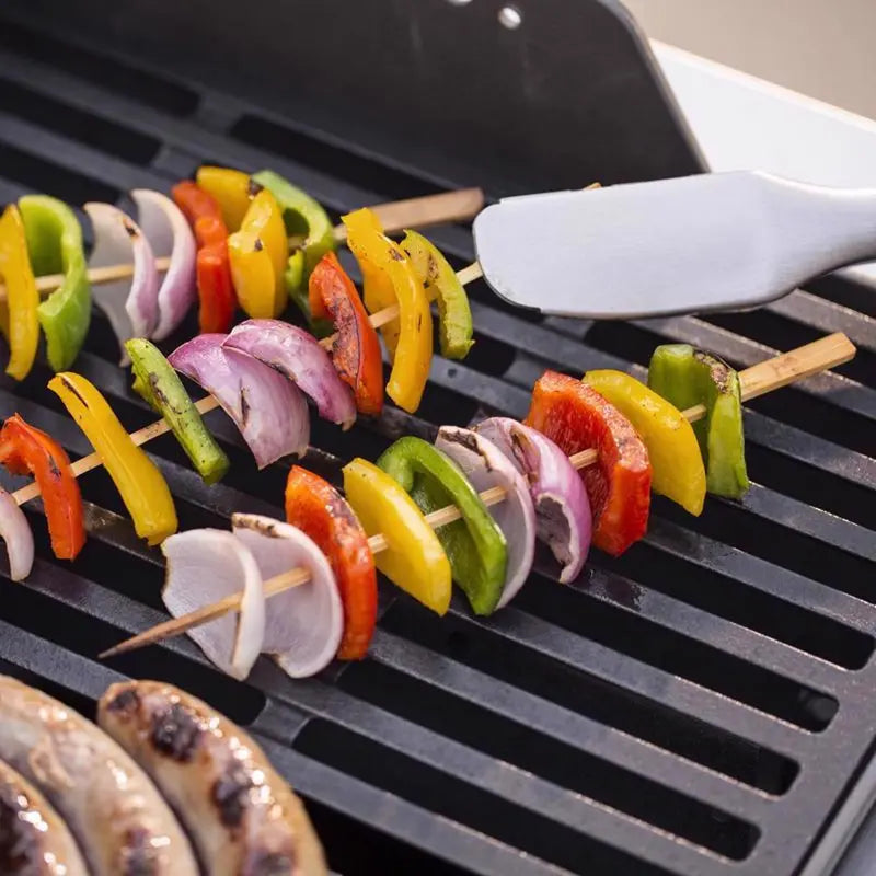 Portable 2-Burner Liquid Propane Grill  Compact Black Outdoor Cooking Station