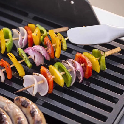 Portable 2-Burner Liquid Propane Grill  Compact Black Outdoor Cooking Station