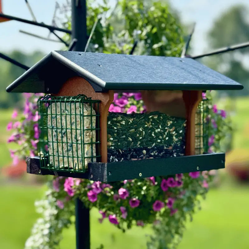 Dual-Compartment Suet & Seed Hopper Bird Feeder  Deluxe Design