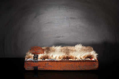 Lit pour chat « Inuit » orange automne