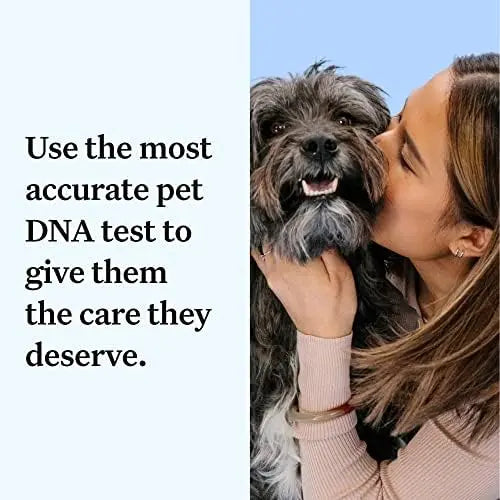Wisdom Panel Essential Dog DNA Kit: Accurate Test for 365+ Breeds, 30 Health Conditions, 50+ Traits, Ancestry  1 Pack