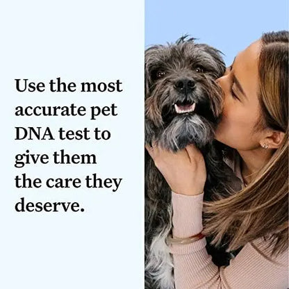 Wisdom Panel Essential Dog DNA Kit: Accurate Test for 365+ Breeds, 30 Health Conditions, 50+ Traits, Ancestry  1 Pack