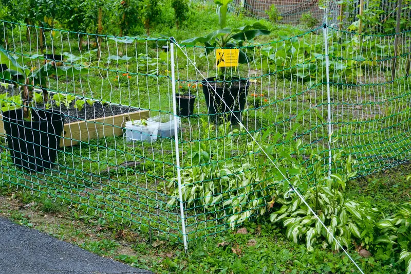 RentACoop Electric Predator-Proof Poultry Fence  Solar-Compatible Chicken Enclosure