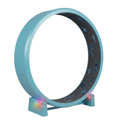 Large-Diameter 48-Inch Exercise Wheel with Non-Slip Black Felt Tread Surface