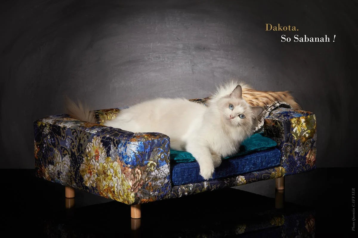 Canapé pour chat « Le Couture » Palace (Rose ou Bleu)