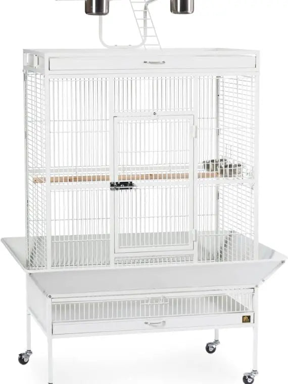 Prevue Pet Products Wrought Iron Bird Cage, Chalk White, 36″x24″x66″