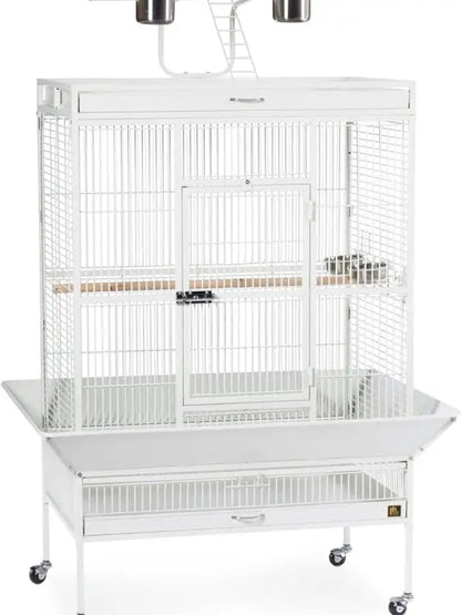 Prevue Pet Products Wrought Iron Bird Cage, Chalk White, 36″x24″x66″