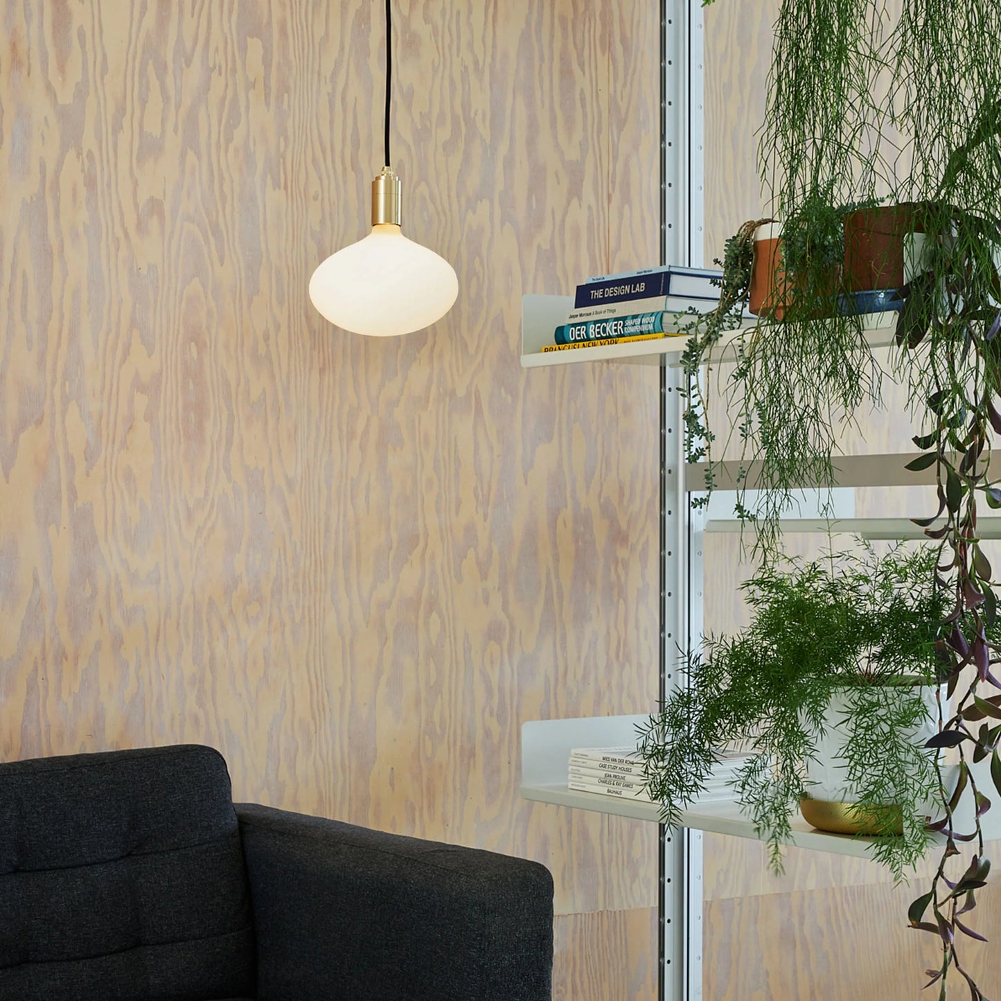 Oval II Pendant Light in Graphite