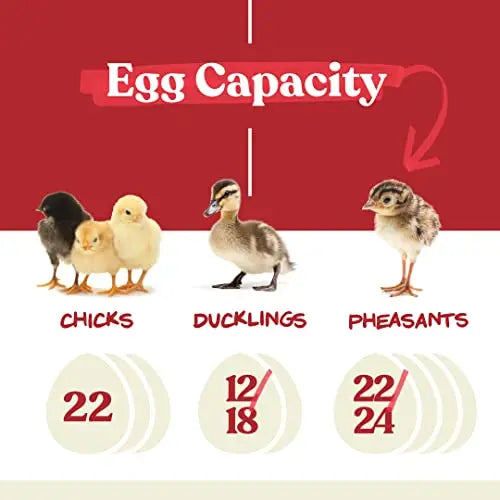 Harris Farms Nurture Right Egg Incubator for Hatching Chicks   Holds 22 Eggs