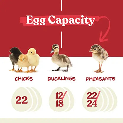 Harris Farms Nurture Right Egg Incubator for Hatching Chicks   Holds 22 Eggs
