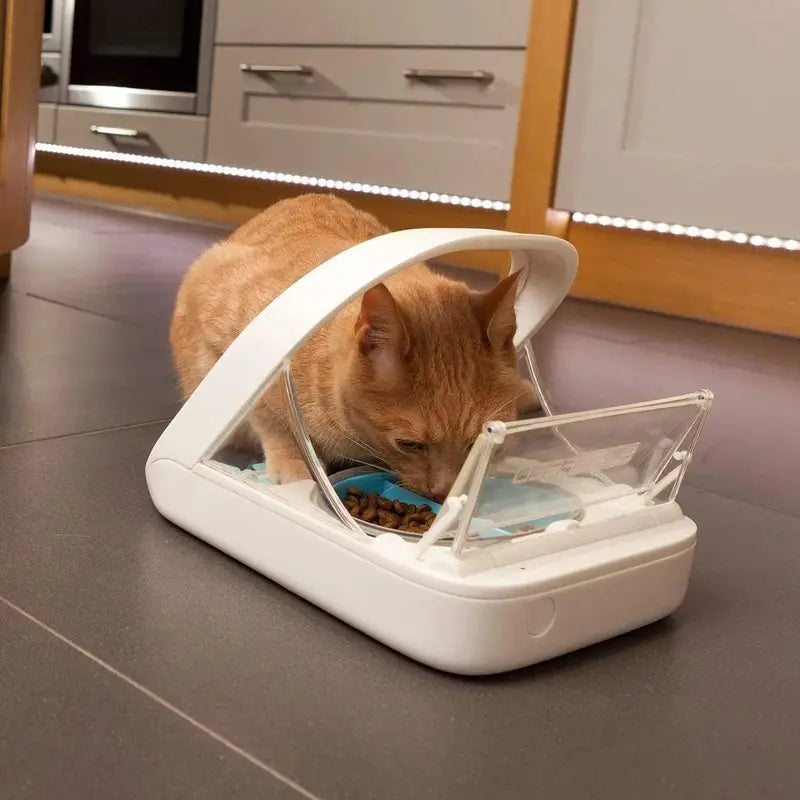 SureFeed Microchip-Activated Pet Feeder  Dual-Chamber Design for Wet and Dry Food, Lightweight Build, Includes Absorbent Pet Towel
