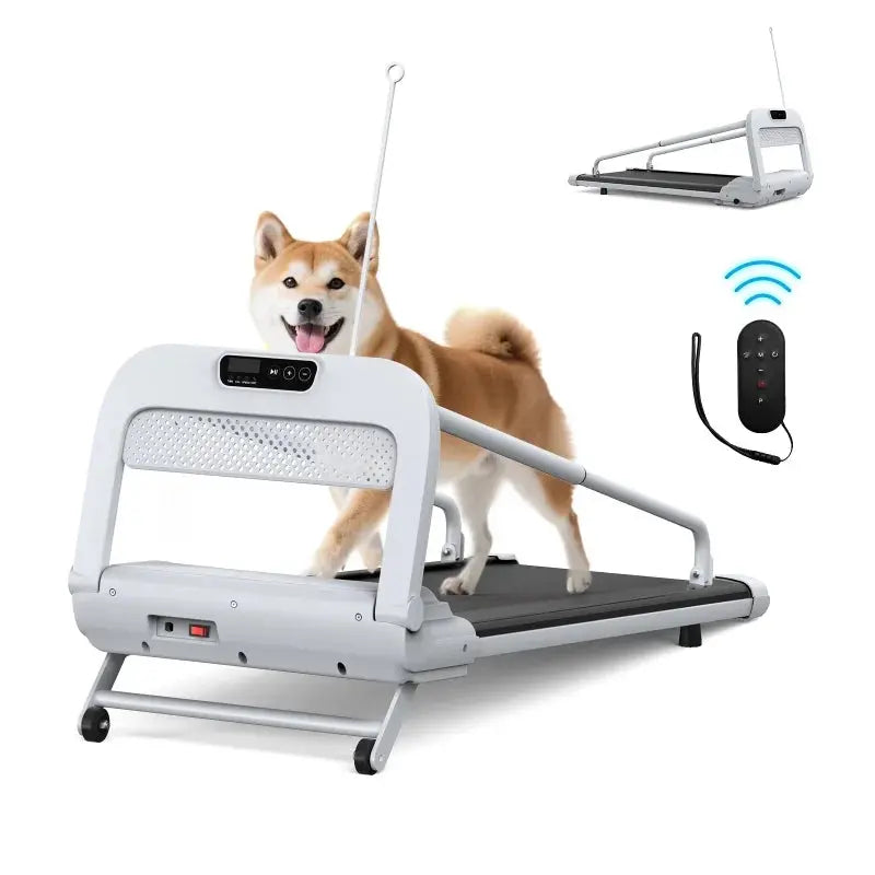 Witaxima 2025 Smart Pet Treadmill  Ultra-Quiet, Speed-Adjustable Exercise Machine for Small to Medium Dogs