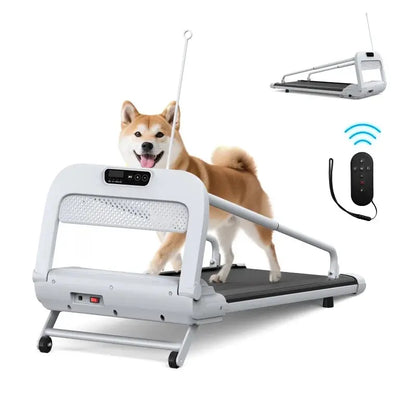 Witaxima 2025 Smart Pet Treadmill  Ultra-Quiet, Speed-Adjustable Exercise Machine for Small to Medium Dogs