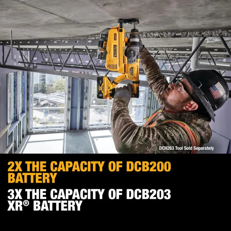 20 V MAX Premium XR 6.0 Ah Lithium Ion Battery Pack