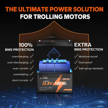 LiTime 12V 100Ah LiFePO4 Deep Cycle Battery  Built-in 100A BMS