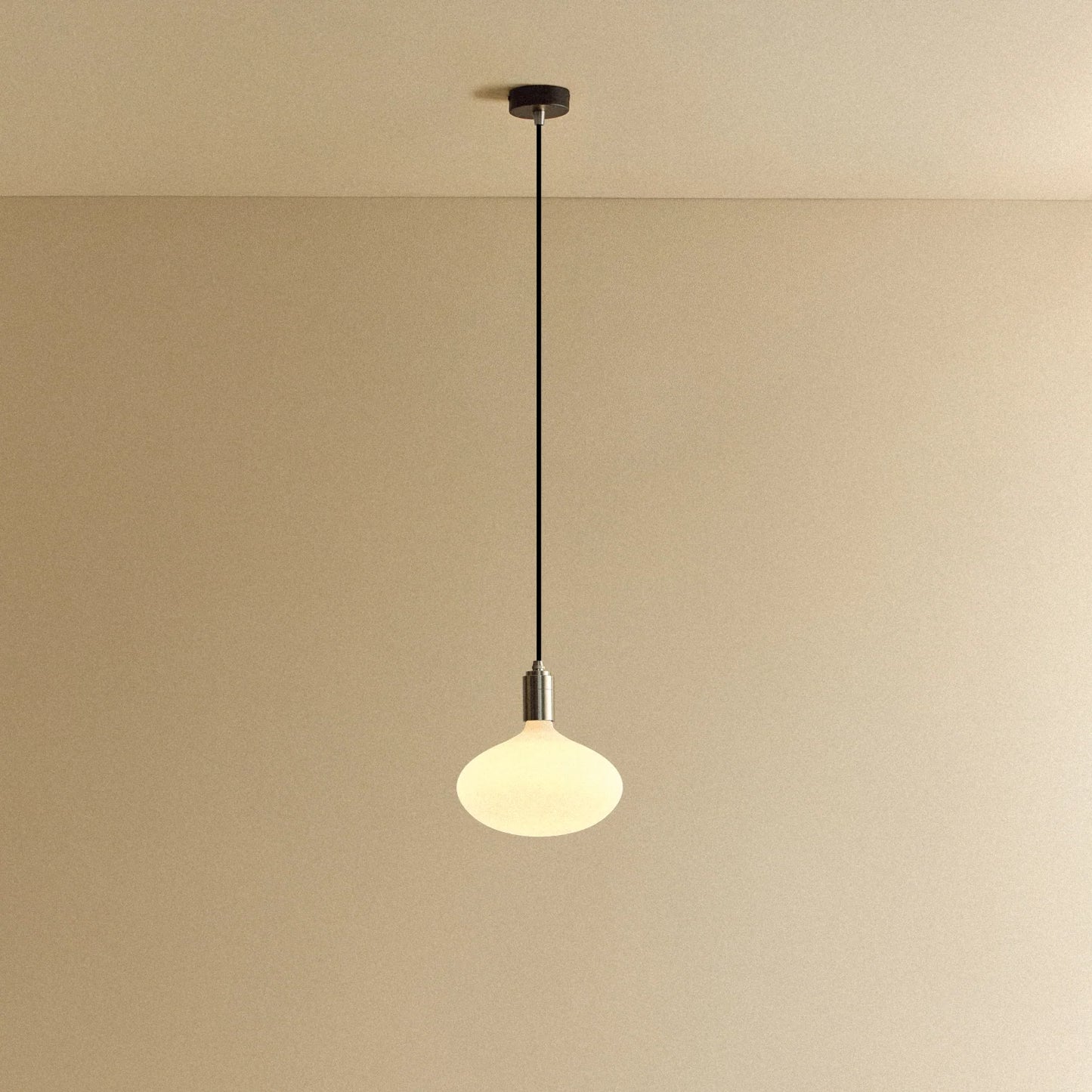 Oval II Pendant Light in Stainless Steel