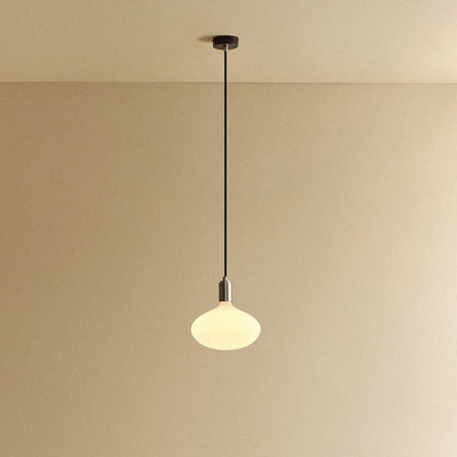 Oval II Pendant Light in Stainless Steel