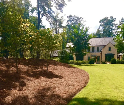 Premium Long-Needle Pine Straw Mulch  Covers Up to 300 Sq. Ft.