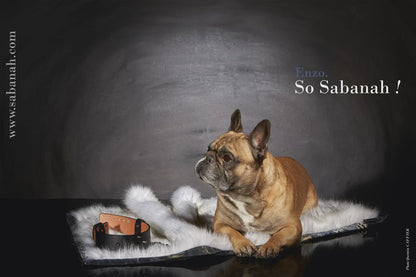 Couverture pour chien « Metis » Blue Ice - Tissu Jean-Paul Gaultier