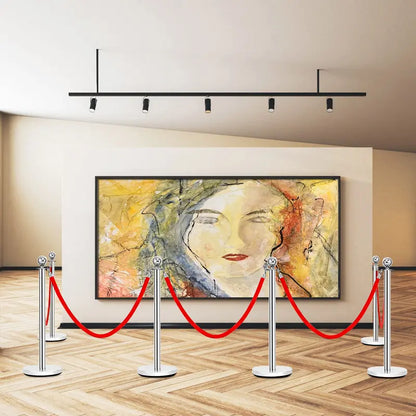 6-Piece Stainless Steel Queue Management Set  Polished Round-Top Stanchions with Retractable Belts