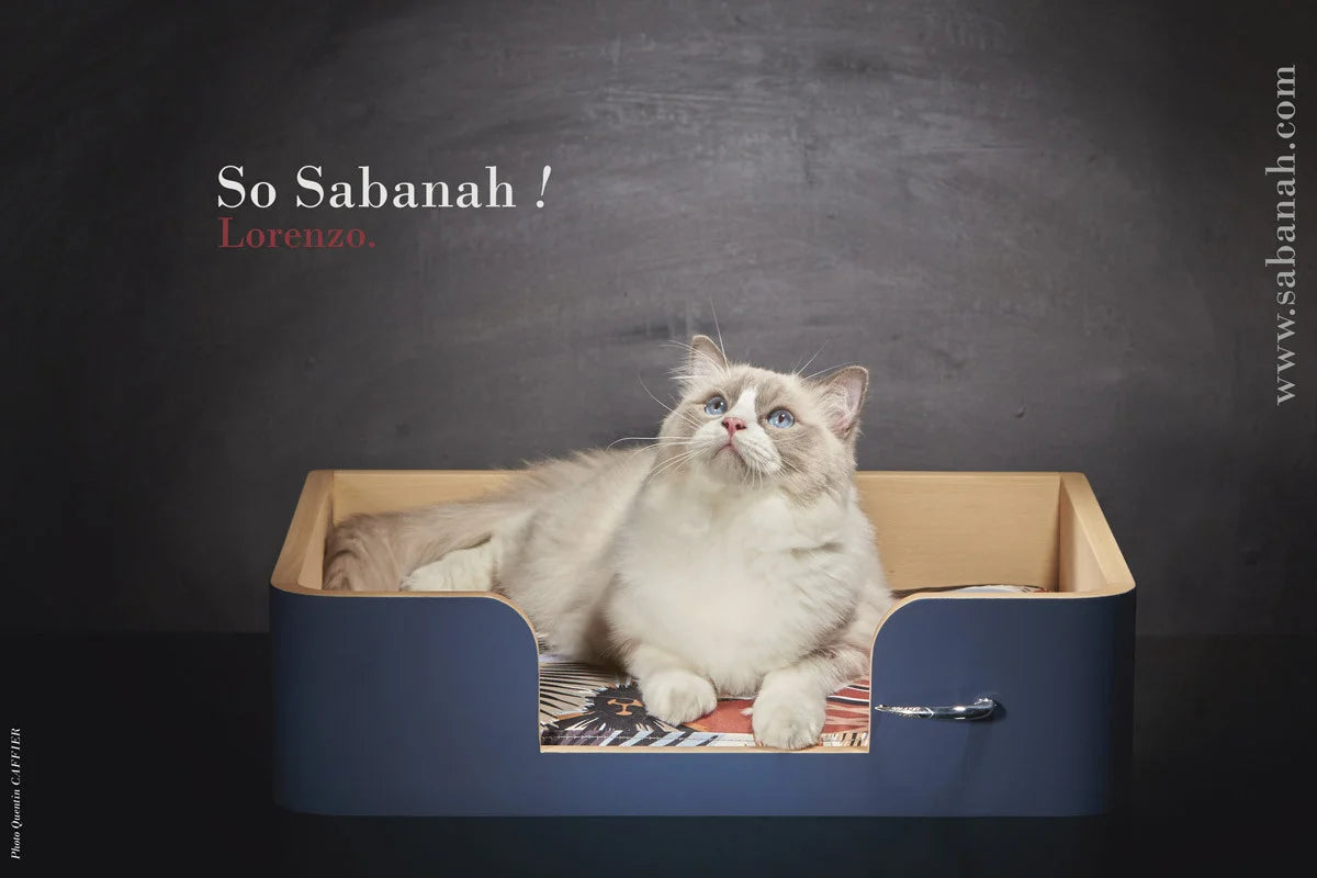 « Drôle de Panier » pour chat  - Bleu Nuit