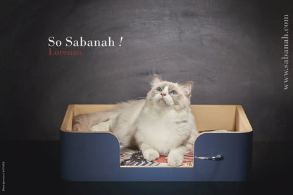 « Drôle de Panier » pour chat  - Bleu Nuit