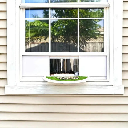 Clear Acrylic Window-Mounted Bird Feeder with Strong Suction Cup
