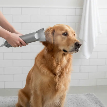 High-Velocity Handheld Dog Grooming Dryer with Multi-Nozzle Set