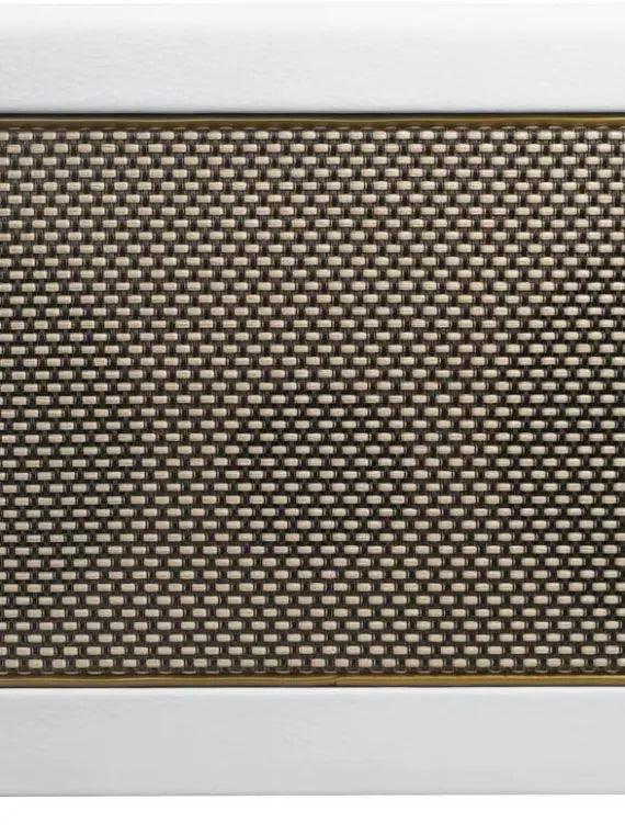 Pearl 40-Watt Combo Practice Guitar Amplifier for Electric Bass & Acoustic with Spark App