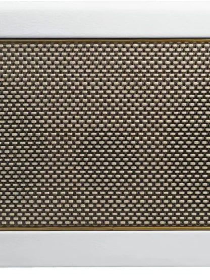 Pearl 40-Watt Combo Practice Guitar Amplifier for Electric Bass & Acoustic with Spark App