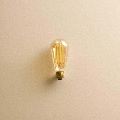 Squirrel Cage E27 LED Bulb