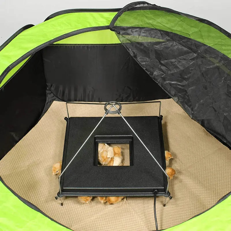 Premium Chick Brooder Plate with Adjustable Height and Viewing Port for Easy Monitoring