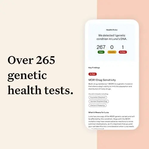 Wisdom Panel Premium Dog DNA Kit: 265+ Health Tests, 365+ Breeds, 50+ Traits, Ancestry & Relatives  1 Pack