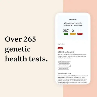 Wisdom Panel Premium Dog DNA Kit: 265+ Health Tests, 365+ Breeds, 50+ Traits, Ancestry & Relatives  1 Pack