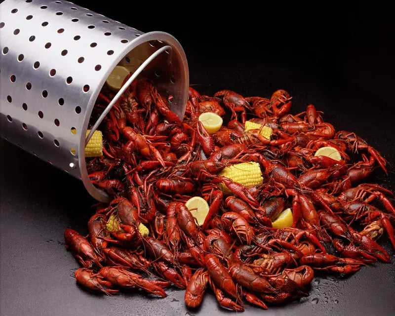 Worcest Outdoor Deep Fryer Kit with Turkey Fryer Pot and Seafood Boiling Accessories
