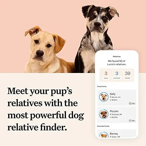 Wisdom Panel Premium Dog DNA Kit: 265+ Health Tests, 365+ Breeds, 50+ Traits, Ancestry & Relatives  1 Pack