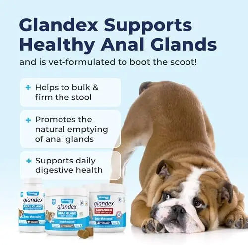 Glandex Peanut Butter Chews for Dogs  120ct | Anal Gland Support, Probiotics, Fiber | Boot The Scoot