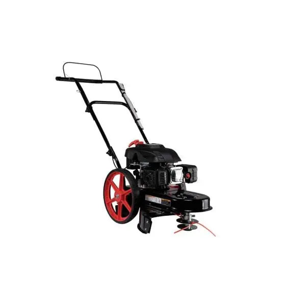 22-Inch Gas-Powered Walk-Behind String Trimmer and Mower (173cc)