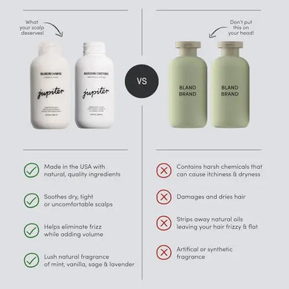 Jupiter Sulfate-Free Dandruff Shampoo & Conditioner  Relieves Dry, Itchy Scalp  9.5 fl oz Each