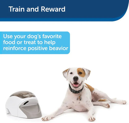 PetSafe Treat & Train Remote Dog Training System  Positive Reinforcement with Target Wand & DVD Guide
