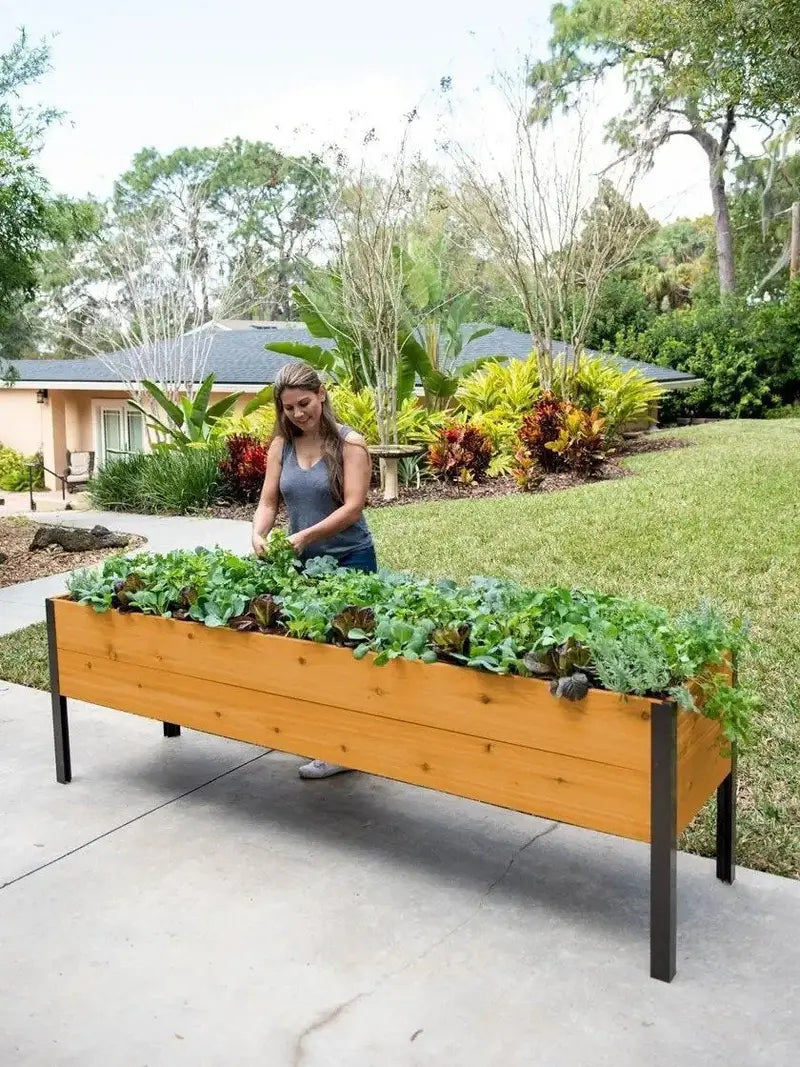 Eco-Friendly Elevated Planter Box for Sustainable Gardening