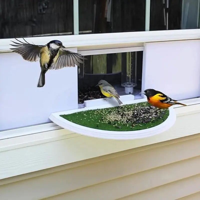 Clear Acrylic Window-Mounted Bird Feeder with Strong Suction Cup