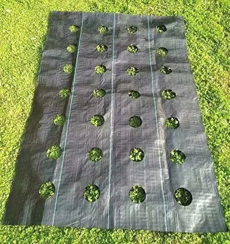Agfabric Easy-Plant Weed Block for Raised Bed Outdoor Garden Weed Rugs Garden mat 3.0oz, 4’x12′,with Planting Hole Dia 3″