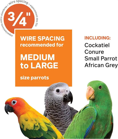 Wrought Iron Select Bird Cage  Chalk White, 36″ x 24″ x 66″, Spacious Avian Habitat